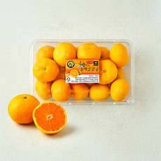 올레길 AI 당도선별 12brix 감귤, 1.5kg(랜덤과), 1개