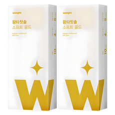 왕타 통칫솔 골드, 10개입, 2개