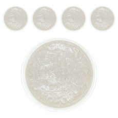 짱죽 실온 이유식 초기 묽은죽, 160g, 5개, 오트밀바나나