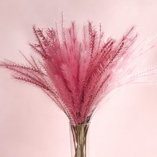 人造蒲葦芒草, 粉紅色 + 酒紅色, 10個