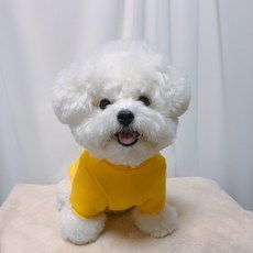 Pet Design 狗狗口袋大學T, 黃色