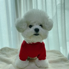 Pet Design 狗狗口袋大學T, 紅色