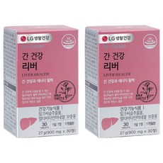 리튠 간 건강 리버