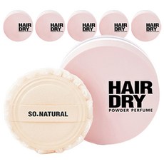 쏘내추럴 헤어 드라이 파우더 퍼퓸, 4g, 6개