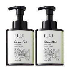 엘르 퍼퓸 버블 핸드워시 시트러스민트, 2개, 500ml