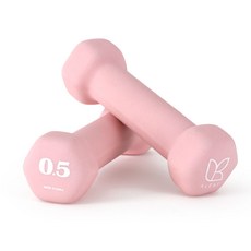 아리프 네오프렌 선인장 아령, 500g, 2개