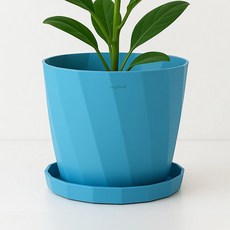 앙플랜트 파스텔 가드닝 화분, 블루, 1개