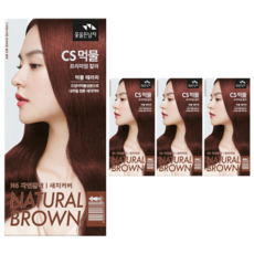 꽃을든남자 CS먹물 프리미엄 헤어 칼라크림 염모제, N6 자연갈색, 4개