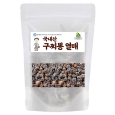 월드블링 구찌뽕열매, 1개, 200g
