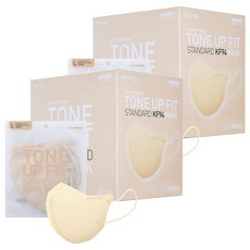 참존 톤업핏 스탠다드 황사방역용 KF94 마스크 대형, 베이지, 2개, 50개입