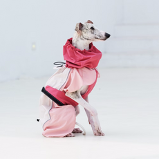 Paws Holic 快穿式寵物雨衣 - 拼色粉, 1件
