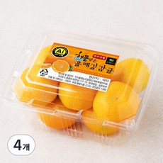 올레길 AI 당도선별 11brix 감귤, 500g(로열과), 4개