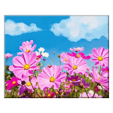 Momopic 繪畫 DIY 傑作繪畫 40x50cm, J47 宇宙風景, 1組