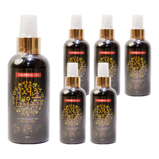 동광한방몰 발효 어성초 자소엽 녹차 헤어팩, 160ml, 6개