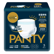 MAMMY VILLAGE 六甲村 極量瞬吸女王褲 產後拋棄式內褲, M-L, 5件, 1包