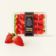 담양 홍희 딸기, 1개, 500g