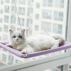 Great Life吊床窗戶貓塔, 波拉波拉島, 1個