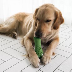 DING DONG PET 狗狗鱷魚潔牙骨玩具 16 x 6 cm, 綠色, 1個