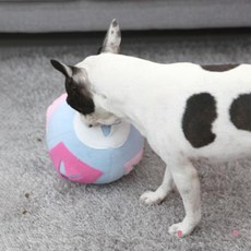 REDPUPPY 狗狗趣味嗅聞球 小型 一般款, 天空藍, 1個