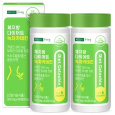 건국유업 체지방 다이어트 녹차 카테킨, 2개, 30g