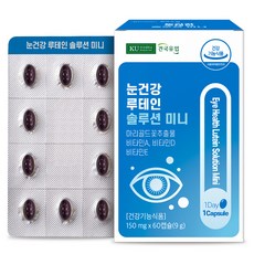 눈건강 루테인 솔루션 미니 9g, 60정, 1개