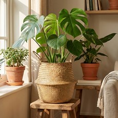 MAME 藤編藺草海草編織籃 花盆套, 單一顏色