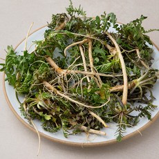 국내산 냉이, 1개