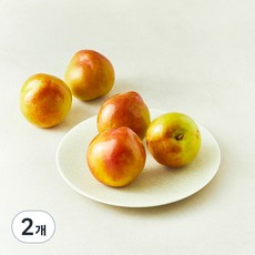 새콤 달콤한 자두, 800g(대과), 2개