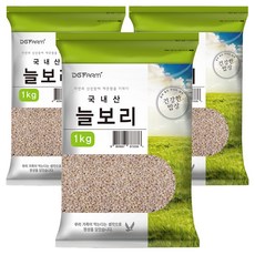 대구농산 건강한밥상 국산 늘보리쌀, 1kg, 3개