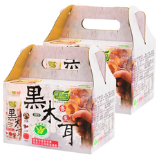 歐典生機 養生黑木耳禮盒 國家健康食品認證 低糖低熱量 富含膳食纖維 幫助排便, 180ml, 2盒