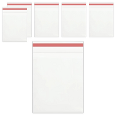 10-TEN PE夾鏈袋 透明紅線款, 24 x 17cm, 100個, 6組