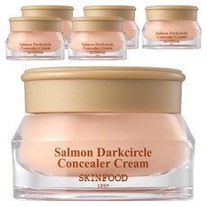 스킨푸드 연어 다크서클 컨실러 크림 10g, 6개, 2호 살몬 베이지