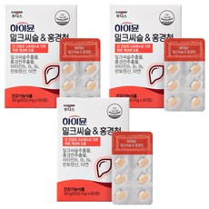 일동후디스 하이뮨 밀크씨슬 앤 홍경천 39g, 60정, 3개