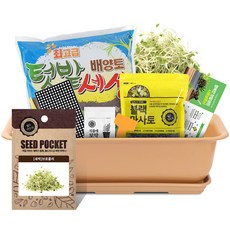 월드가드닝 베란다 채소키우기 텃밭세트 9종 커피컬러, 새싹-브로콜리