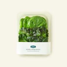 프리미엄 스마트팜 루비 믹스, 100g, 1개입, 1개