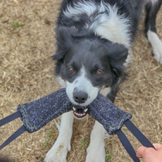 WILD DOG 拖拉小狗玩具, 棉, 1個