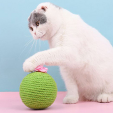 JHcompany仙人掌繩子貓咪抓球, 綠色, 1個