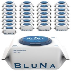 블루나 더퍼스트 물티슈 화이트, 55g, 100매, 100개