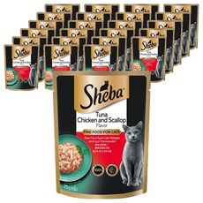 쉬바 고양이 주식 파우치, 닭+참치, 70g, 24개