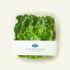 프리미엄 스마트팜 리프 하모니 믹스, 250g, 1개, 1개입