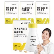비타민마을 보스웰리아 정 트리플 업, 4개, 30g