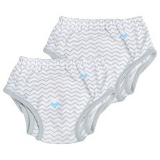 스칸디맘 뱀부 이중날개 배변훈련팬티, 웨이브폭스 그레이, 2개