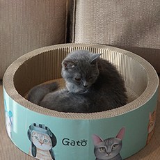 Gatto家庭大圓形圓形貓抓板 44cm, 混合顏色, 1個