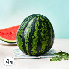 못난이수박, 5kg이상, 4개