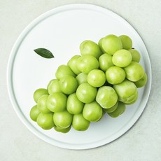 곰곰 당도선별 샤인머스캣, 1kg, 1개