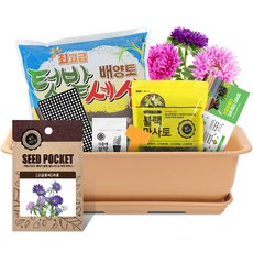 월드가드닝 베란다 채소키우기 텃밭세트 9종 커피컬러, 고급꽃씨 과꽃