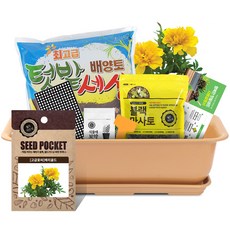 월드가드닝 베란다 채소키우기 텃밭세트 9종 커피컬러, 고급꽃씨-메리골드