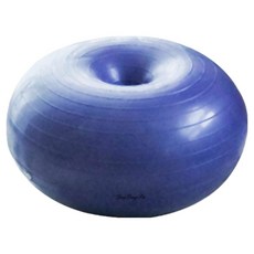 딩동펫 강아지 슬개골탈구예방 짐볼, 퍼플, 1개