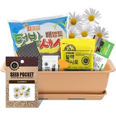 월드가드닝 베란다 채소키우기 텃밭세트 9종 커피컬러, 야생화-샤스타데이지