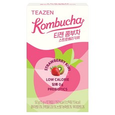 티젠 콤부차 스트로베리키위, 5g, 10개입, 1개